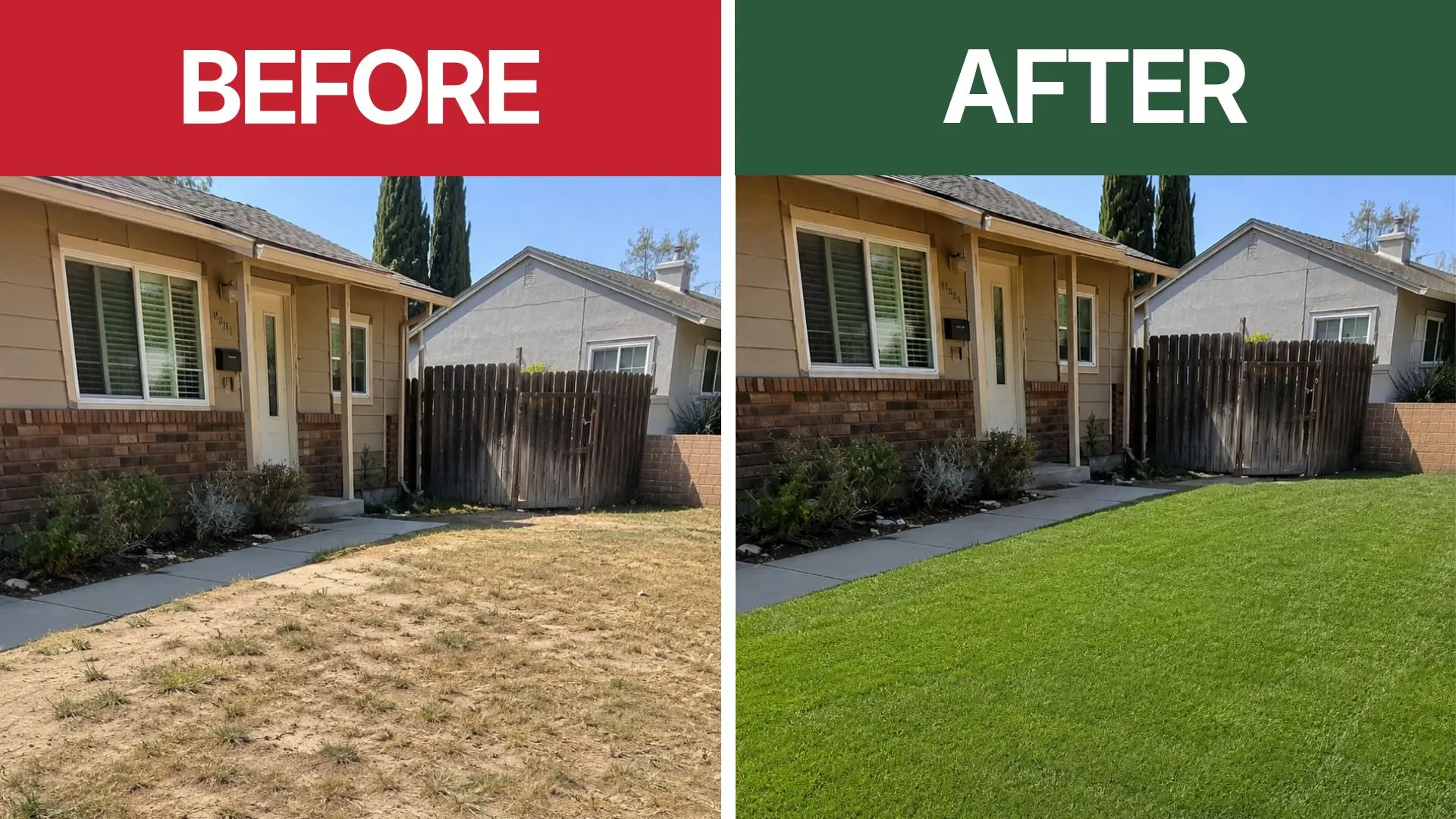 Sod Installation